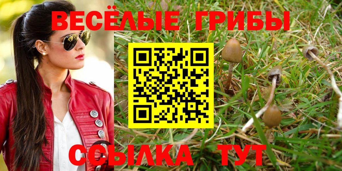 Галлюциногенные грибы Cubensis  сколько стоит  Воскресенск  Вход с VPN 